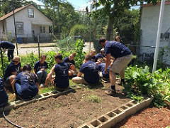 Scholars gardening