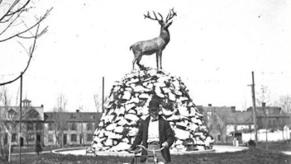Erected in 1898 at Penn Park, York PA.  Vandals beheaded the Elk in 1987.  A project is underway to erect a new Elk at the Lodge which has been home since 1905.