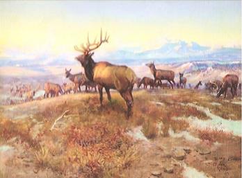 In 1912 Charles M. Russell completed one of his most famous paintings, "The Exalted Ruler". After completing he gave the painting to the newly completed Great Falls Elks Lodge where it hung until 1985. The painting was placed on loan to the C.M. Russell Museum. In 1994, the Great Falls Elks Lodge decided to sell the painting with a price of $1.2 million.  
Under the agreement with the Great Fall Elks Lodge, the museum had to raise funds and make the purchase by April 30, 1995. The Museum launched campaign entitled in for the Ruler with a theme of "Give us an inch... so we can keep the Ruler." Each gift of $250 received allowed the Museum to purchase one square inch of the painting. Approximately 69 local schools participated, including one class of 15 students alone raising $1,000.00.
Looking at the picture “The Exalted Ruler” you will see an Elk in the middle. It is symbolic of the President of the Elks Club "The Exalted Ruler". On the left is the out-going "Exalted Ruler”, a big bull with a large rack. On the right is another bull with a rack who is next year’s "Exalted Ruler". Just to the left of this one is a bull with spike horns and is the future "Exalted Ruler". In front is a bird by a rack of horns hiding, the past "Exalted Ruler." You can tell the citizens of Great Falls knew how lucky they were to have this in their possession.
The communities, especially the schools were able to keep the original painting, piece by piece. Now for our story, our very own Al Huffman, being recognized again for his Great Western Prowess was awarded a limited edition print of "The Exalted Ruler". We at Lodge 2363 are extremely lucky to be able to have this print hanging downstairs in our club-room. Thank You to Al Huffman for graciously giving this print to our Lodge for all of us to enjoy. Also thanks to David Dey for making the beautiful frame and to Deborah Carballeira for helping with the name plate.  
