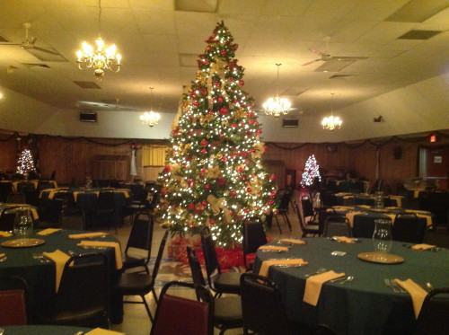 Hall Christmas Tree