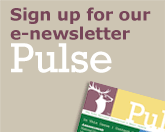 Pulse