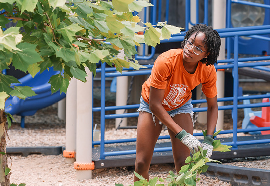 Reading Between the Numbers: The 2023-24 Annual Report