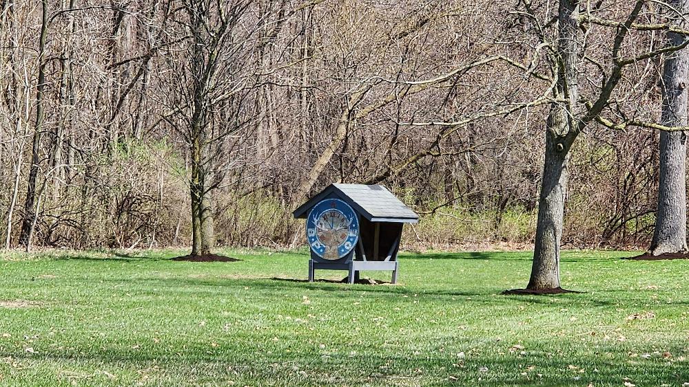 Backyard - Deer Feed