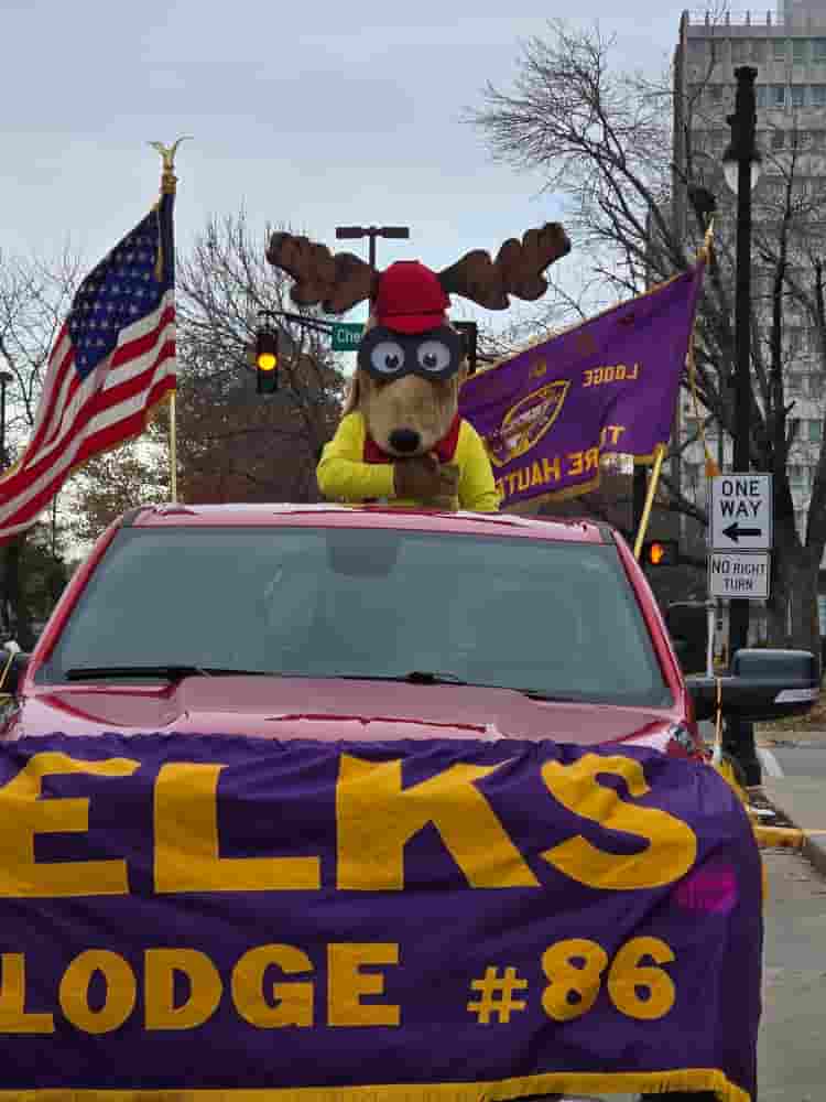 What a fine looking Elk!
