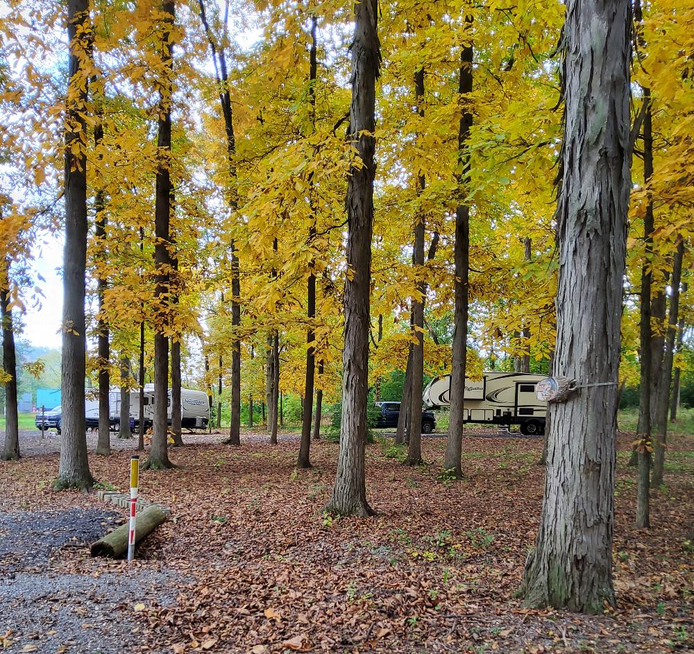 RV camping at Ephrata-Reading Elks Lodge 115