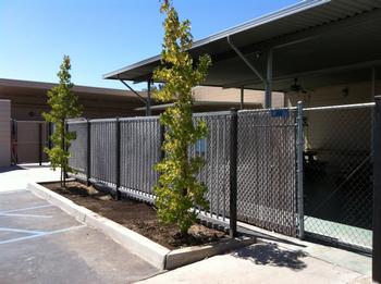 2013 - Old Patio Fence Improvement