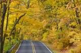 A GOLDEN DRIVE IN THE KEWEENAW DURING PEAK COLOR CHANGE.