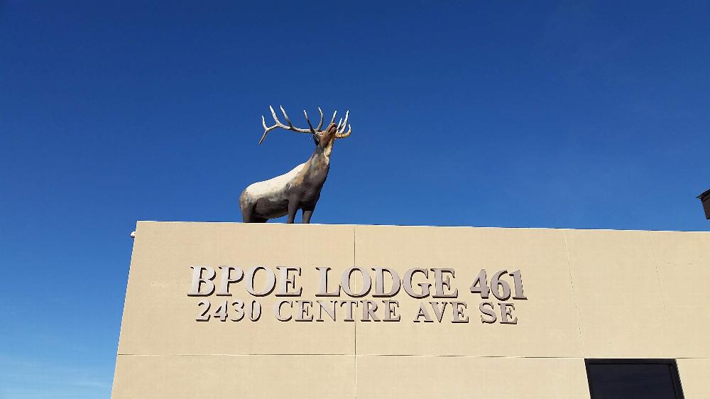Our building front, close-up on Elmer the Elk.