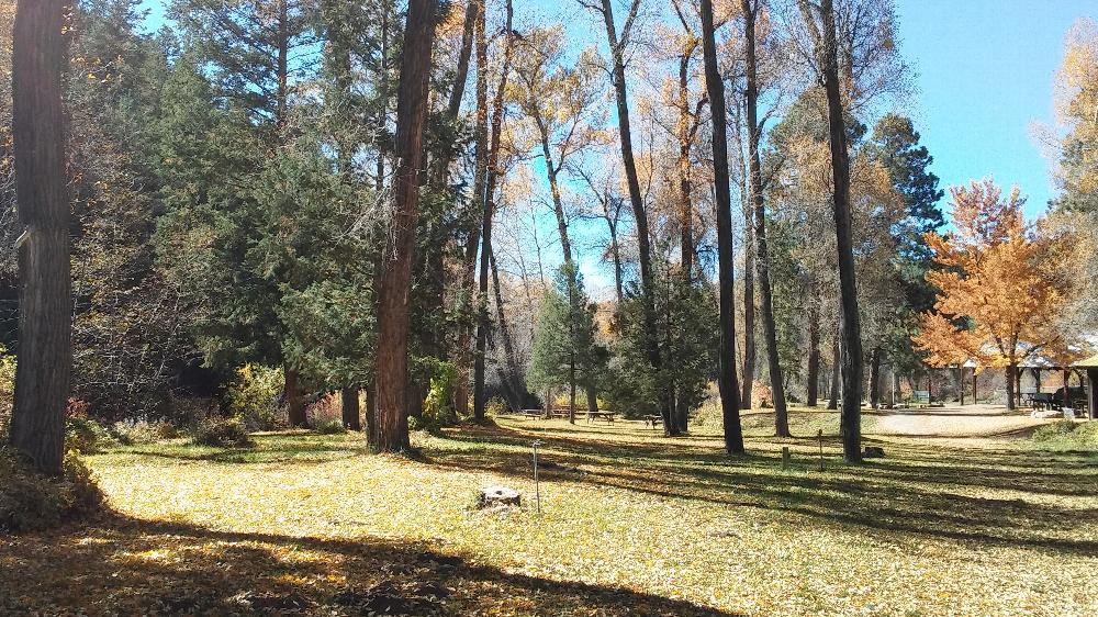 Picnic Grounds