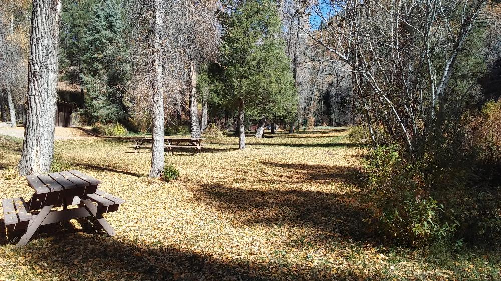 Picnic Grounds