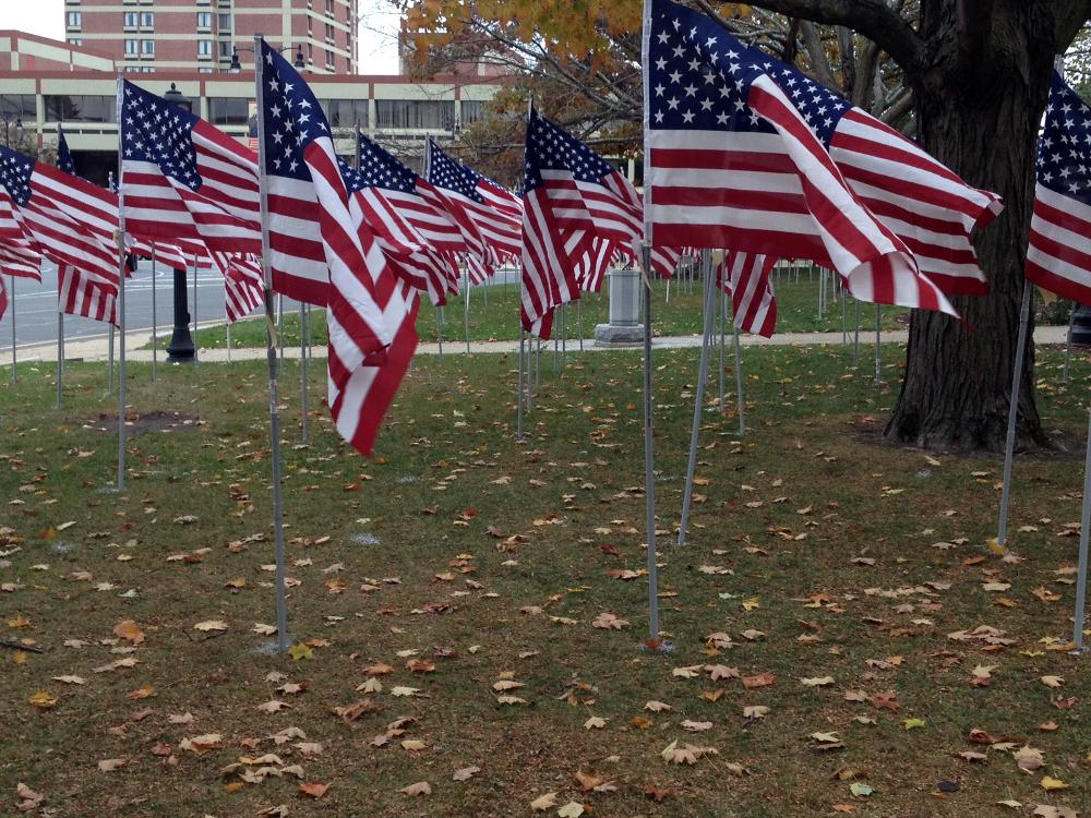 The Pittsfield Park of Honor.  Over 700 flags in  honor of Veterans who have served or are serving.  Bennington Lodge #567 is represented.