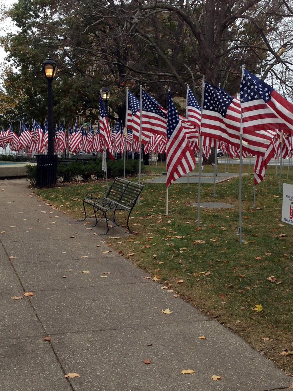 The Pittsfield Park of Honor.  Over 700 flags in  honor of Veterans who have served or are serving.  Bennington Lodge #567 is represented.