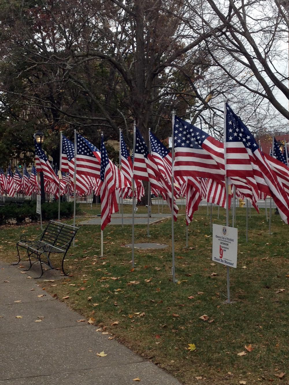 The Pittsfield Park of Honor.  Over 700 flags in  honor of Veterans who have served or are serving.  Bennington Lodge #567 is represented.