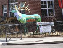 This is a B&B in Colorado Springs.  The Elk is property of the Convention & Visitors Bureau and travels around to different businesses.
Thank you Dale N. for this neat photo