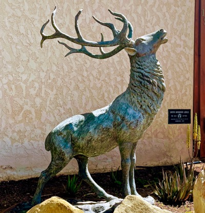 Santa Barbara ELKS Lodge #613 ELK