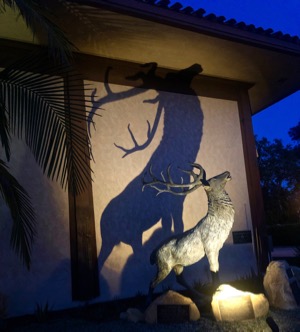 Santa Barbara ELKS Lodge #613 ELK