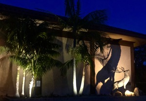 Santa Barbara ELKS Lodge #613 Night Photo