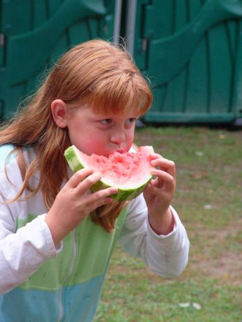 Annual Family Picnic