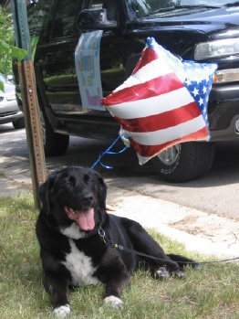 Honarary Elk member, Sarge, joined Mod 4 speedway driver Chad Wolff, Connie Olafson, Holly Hedeen, and Jon and Suzy Langhout and family during the Fourth of July Parade in 2007. The focus was Drug Awareness and how "Hero's don't do drugs!"