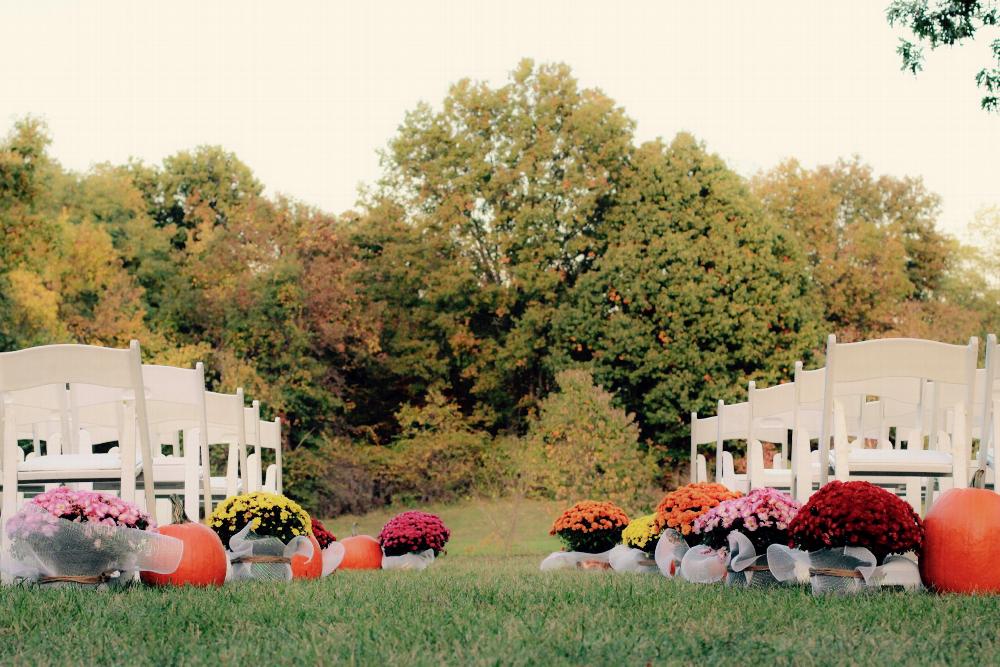 Our beautiful garden is the perfect setting for an outdoor ceremony or event.