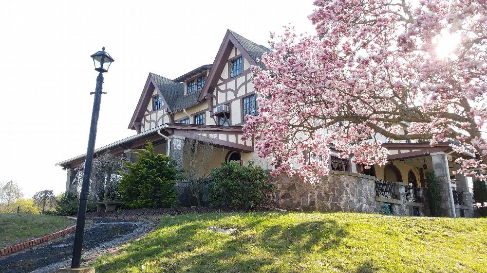 View of Lodge in Spring