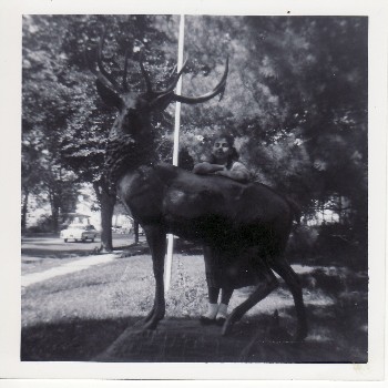 Bronze Elk 1925-1971