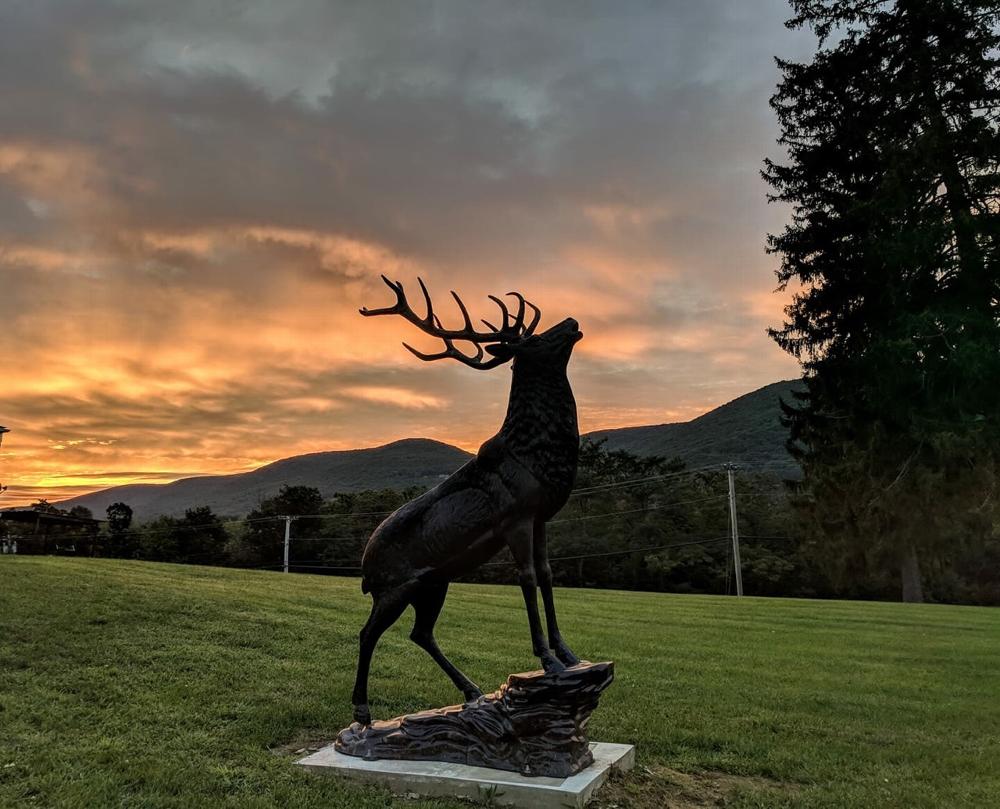 Elk Statue on our front lawn