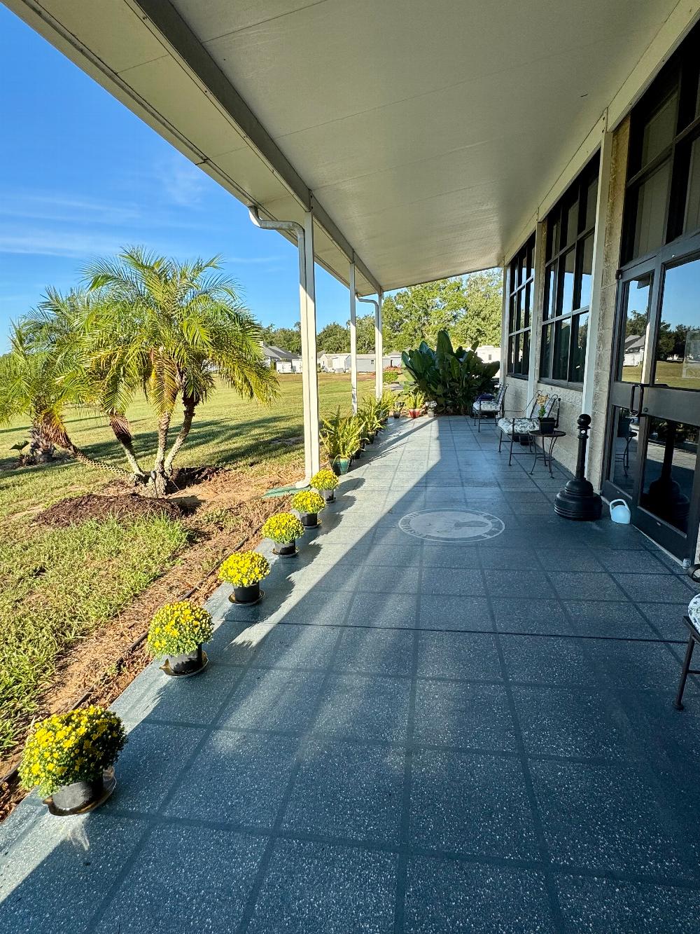 Back Porch