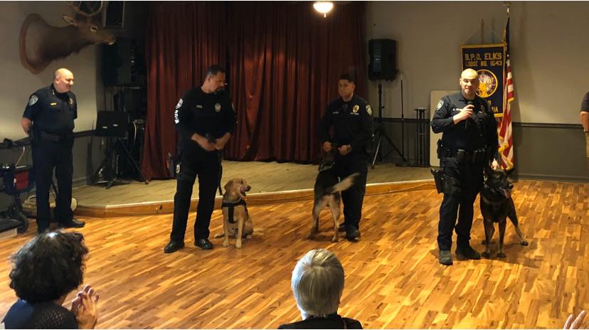 K-9 demonstration 