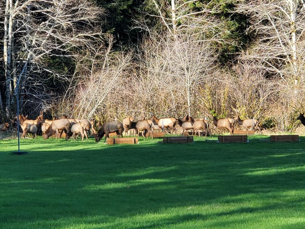 Some of our park visitors