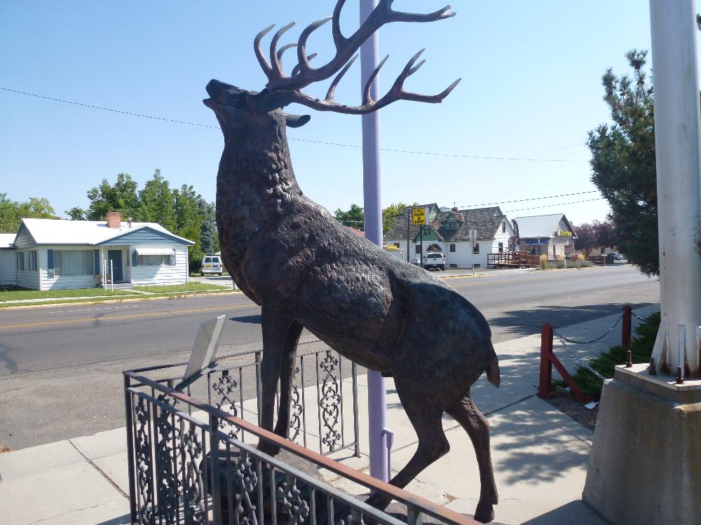 Elk donated by the Past Exalted Ruler Association, on the west side of the building.