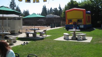 Backyard picnic tables