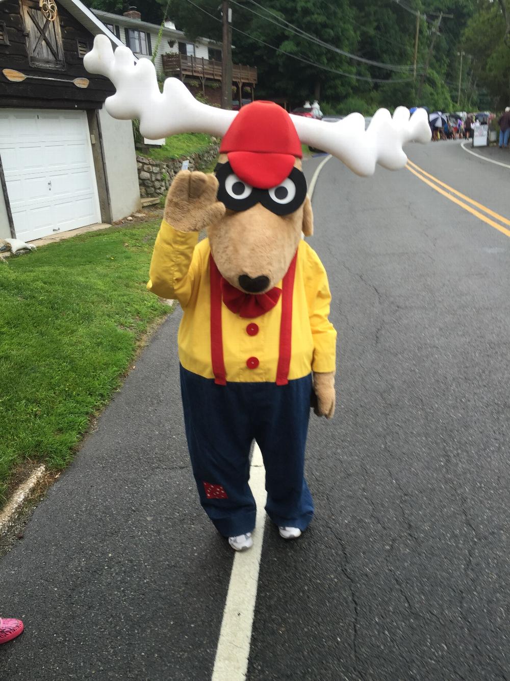 Elroy the Elk 
2015