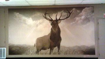 Wall mural Lodge Room