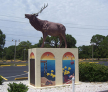 Our great Elk bids you welcome to the Lodge.  The base was painted by Lemon Bay High School art students