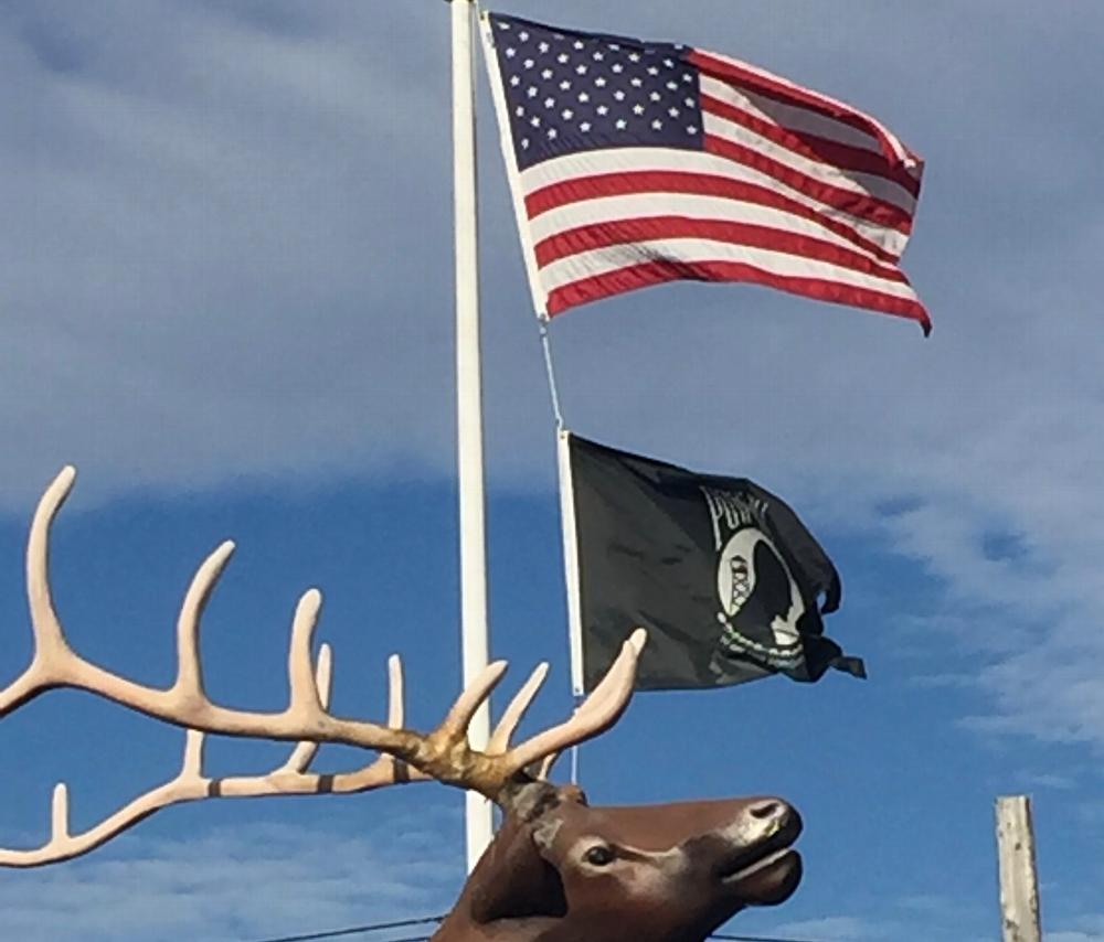 The Elk and The Flags