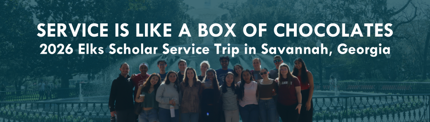 Service is Like a Box of Chocolates