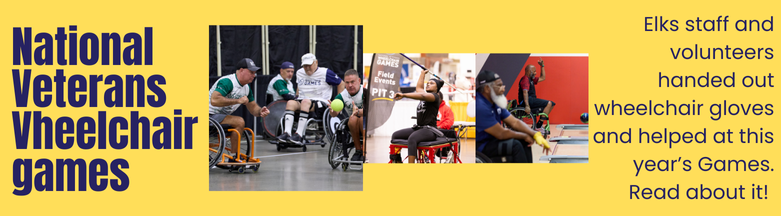 National Veterans Wheelchair Games